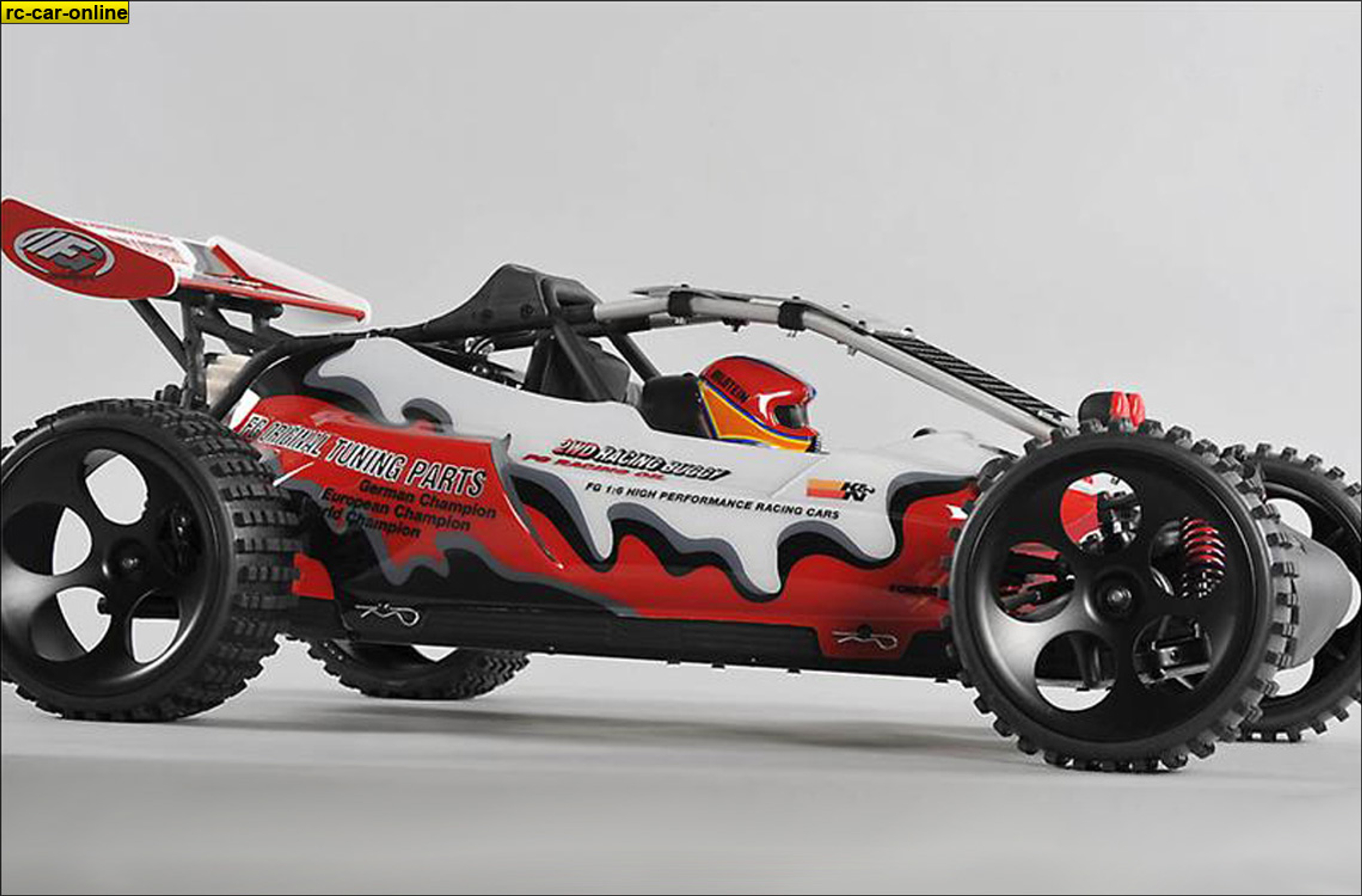 FG Off-Road Buggy WB535 2WD FG Off-Road Buggy WB535 2WD