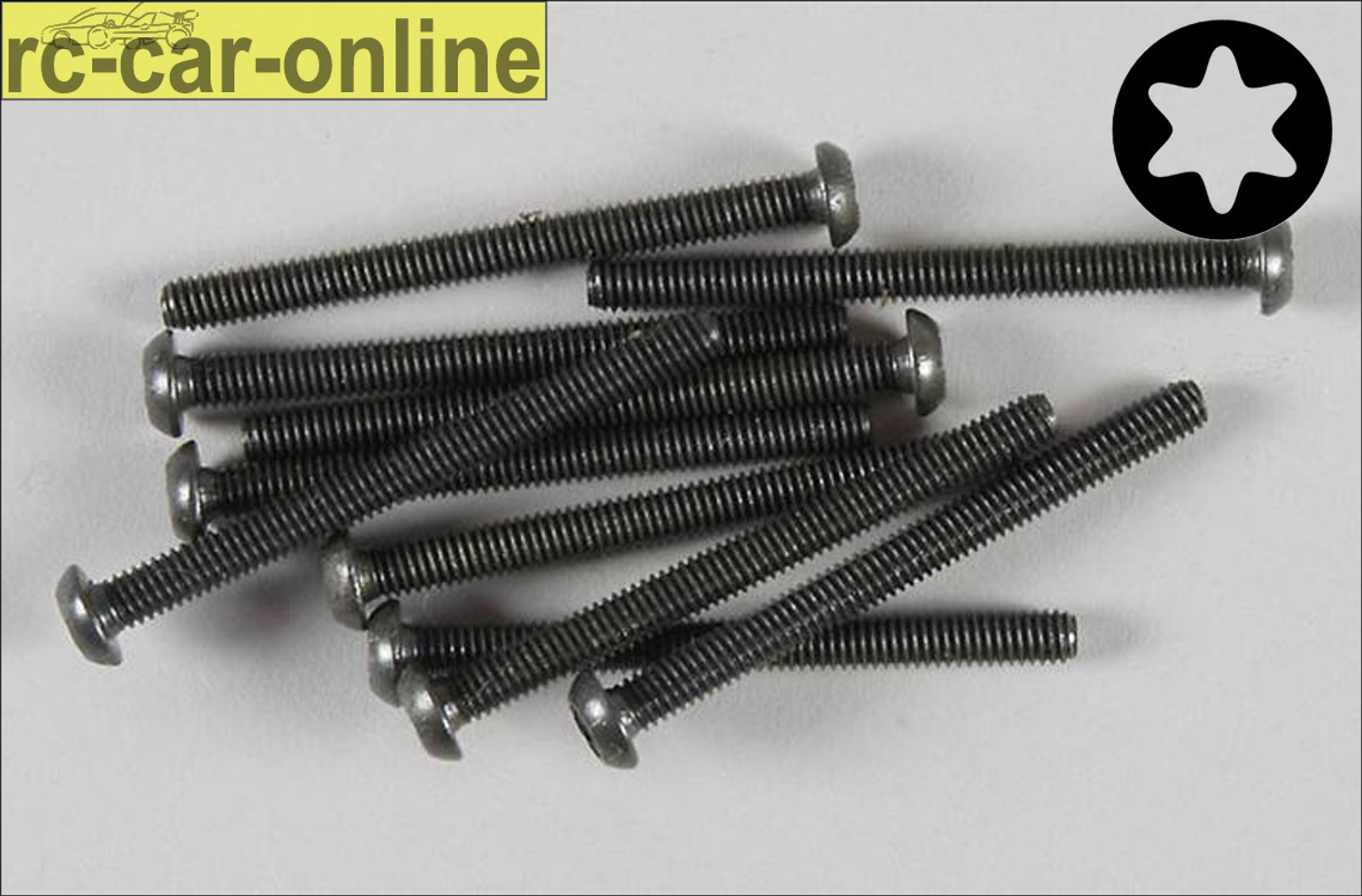 6925/45 FG Linsenschraube mit Torx M4x45 mm, 10 Stück 6925/45 FG Linsenschraube mit Torx M4x45 mm, 10 Stück