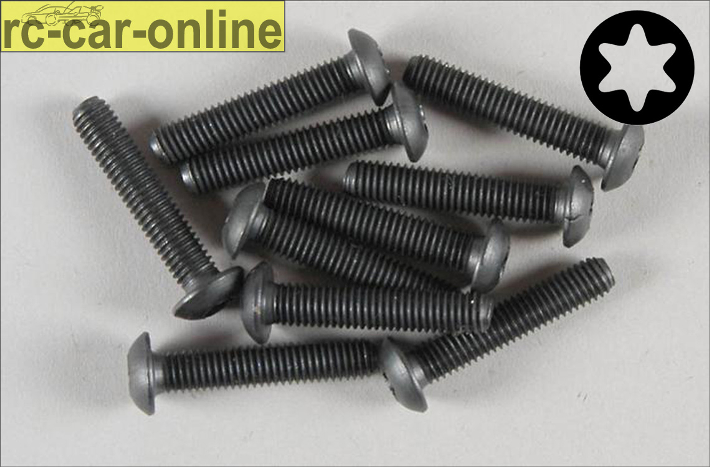 6926/25 FG Linsenschraube mit Torx M5x25 mm, 10 Stück 6926/25 FG Linsenschraube mit Torx M5x25 mm, 10 Stück